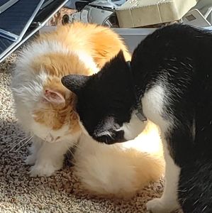 Meet your Posher, Cathryne